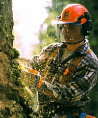 Chainsaw